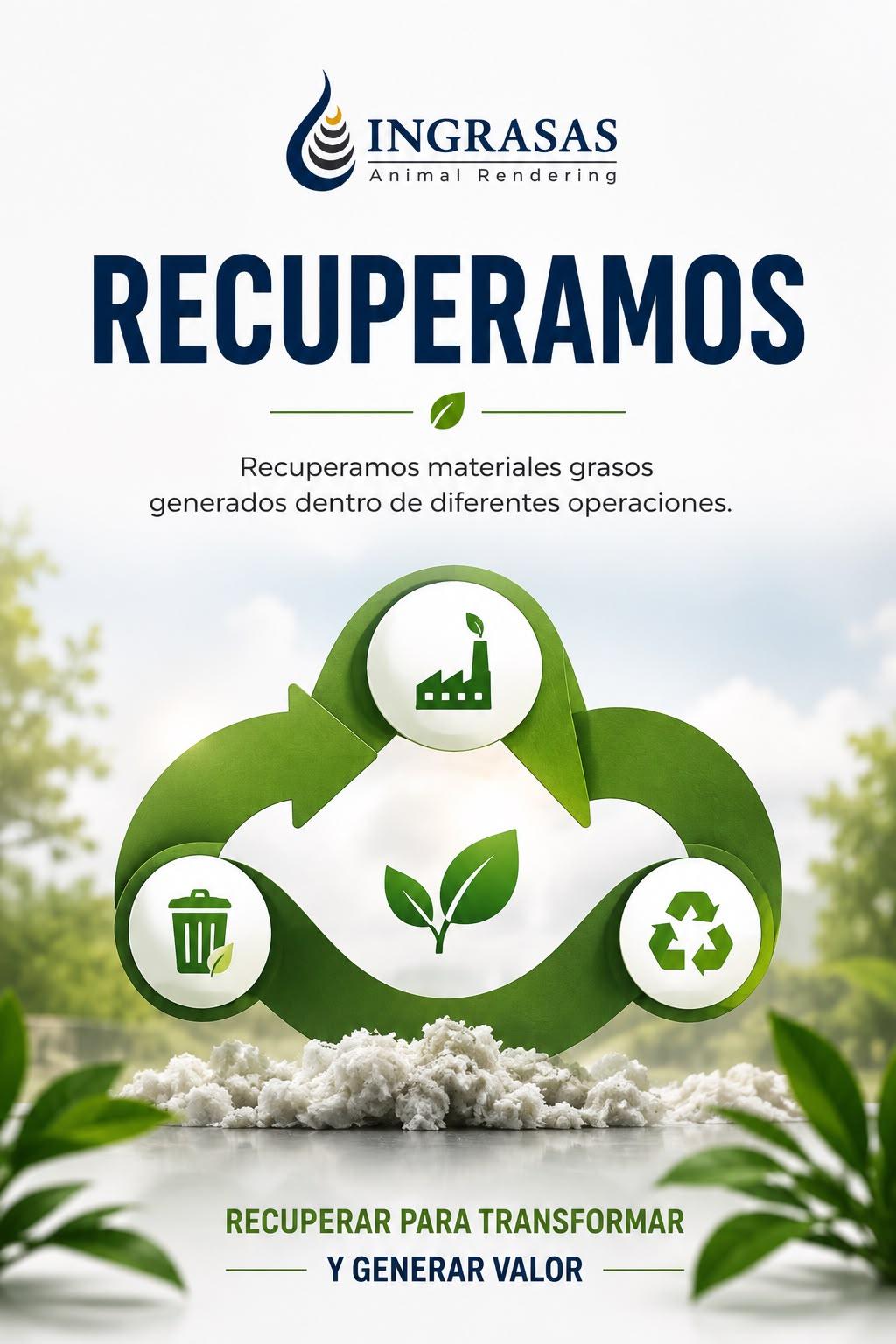 Recuperación de grasa animal